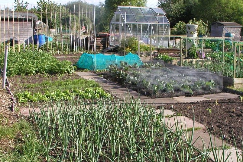 Allotments